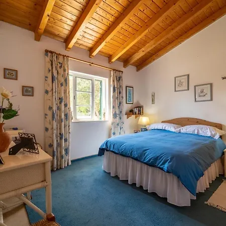 Bliss Villa